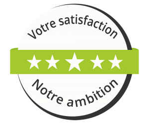 badge v1 300x253 - badge-v1