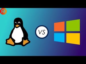 linux vs windows hosting 6 300x225 - linux-vs-windows-hosting-6.jpg